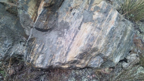 Гигантские зелёные валуны для ландшафтного дизайна весом более 5 тонн купить в Кемеровской области