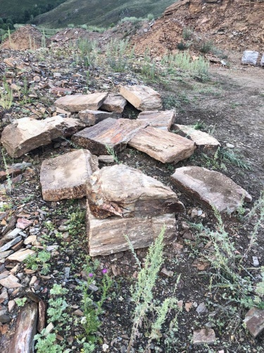 Плитняк кора дерева 50-100мм для пошаговых дорожек купить в Кемеровской области